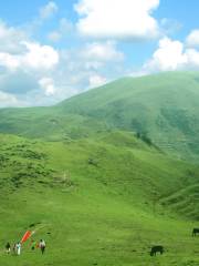 天馬山生態旅遊景区