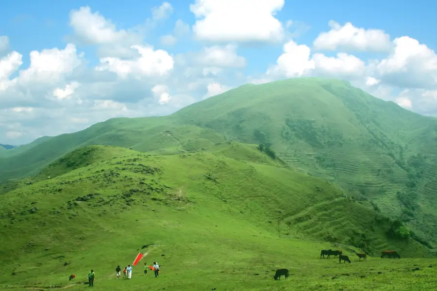 天馬山生態旅遊景区