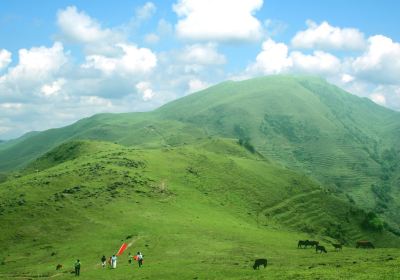 天馬山生態旅遊景区