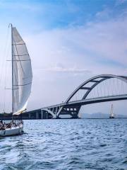 Xiamen Fanying Sailing