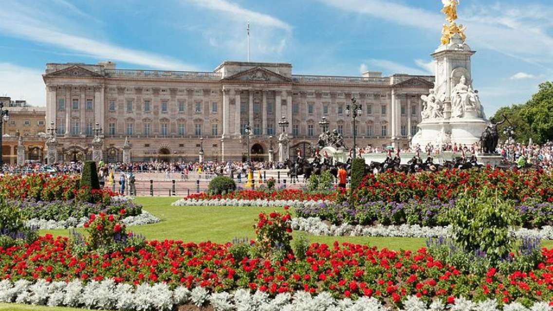 buckingham palace tour activity