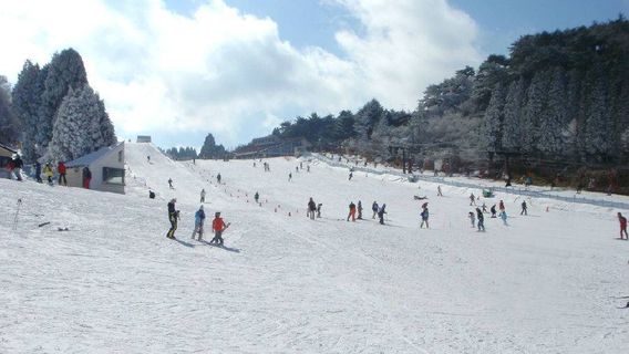 Goto35 Off 大阪難波発 雪遊びで大興奮 1dayツアー 六甲山 有馬温泉 アウトレット Trip Com Goto35 Off 大阪難波発 雪遊びで大興奮 1dayツアー 六甲山 有馬温泉 アウトレット Trip Com