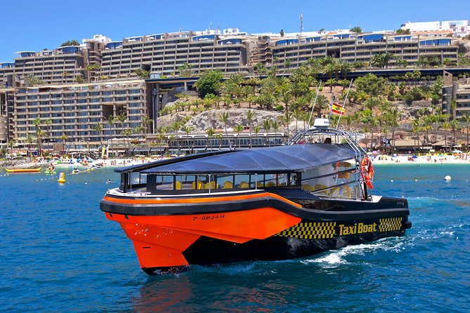 Gran Canaria Taxi Boat from Puerto Rico Harbor | Trip.com
