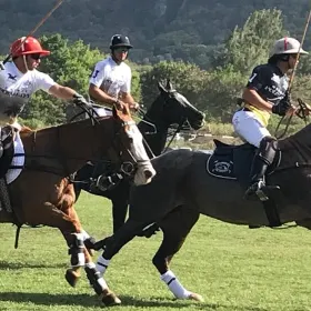 Honolulu Polo Game with Stables Tour and VIP Seats plus Private Island Tour