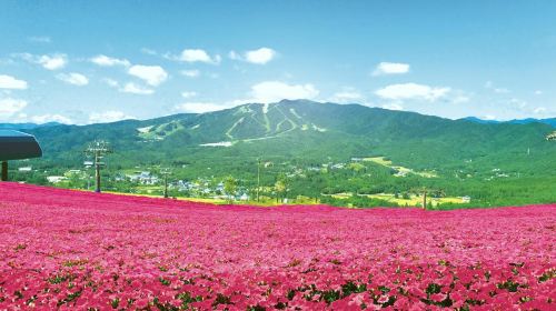 蛭野高原