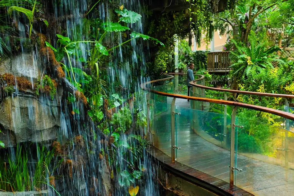 4_Grandview Rainforest Ecology Botanical Garden
