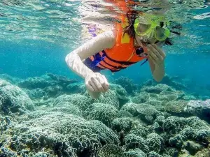 From Mui Ne To Vinh Hy Bay Snorkeling And Fishing Tour | Day Trip 
