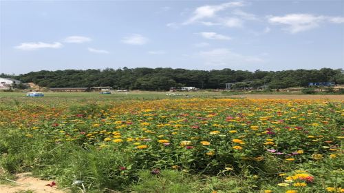 Xinyang Colorful Pastoral Longxi Valley