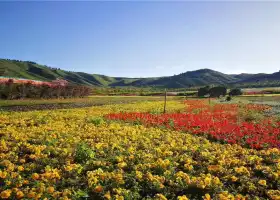 Bianmagou Flower Sea