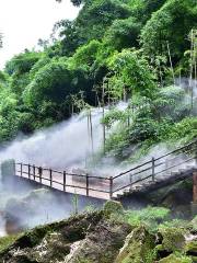 Bamboo Canyon Scenic Area (Jinji Valley)