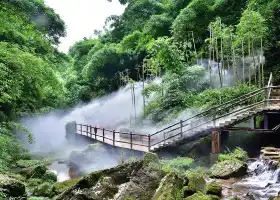 竹海風景区（金鶏谷）