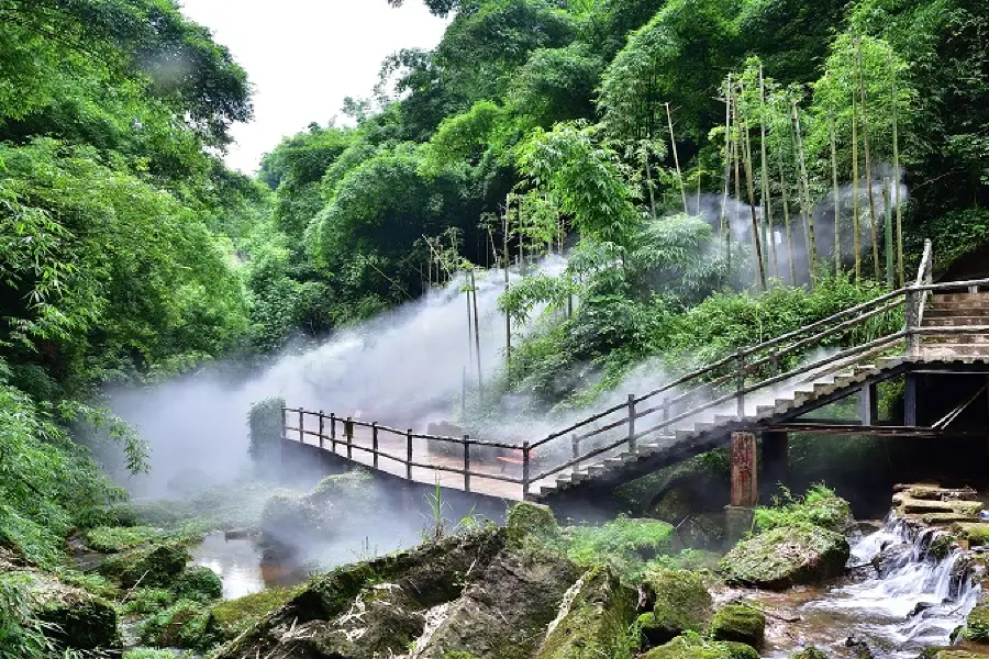 竹海風景区（金鶏谷）