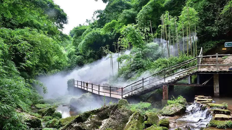 2_Bamboo Canyon Scenic Area (Jinji Valley)