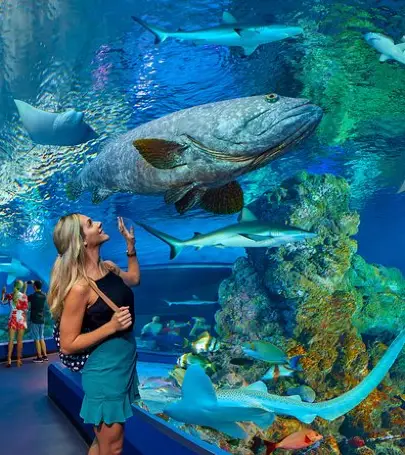 22年マリーバの人気観光スポット マリーバの旅行ガイド マリーバのおすすめ観光スポットのチケット ホテル 楽しみ方 グルメ レストラン Trip Com