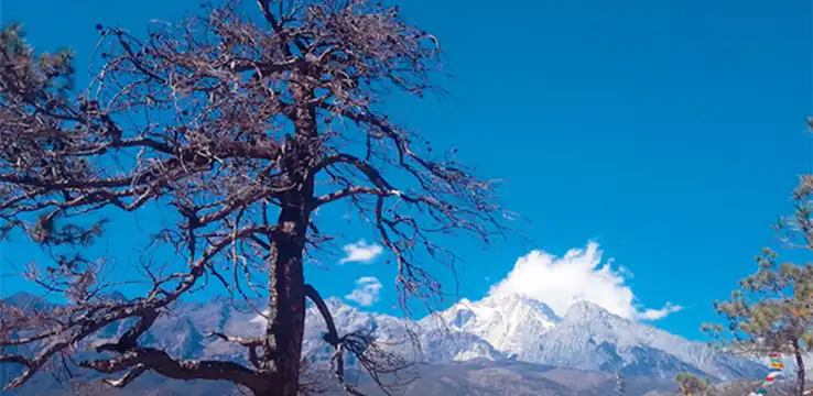Hotel in zona Snow Mountain Canyon Park