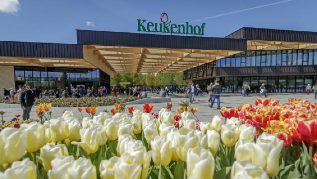 オランダ・キューケンホフチューリップ公園ワンデーツアー【入場チケット、チューリップ体験、ホテル送迎付き】