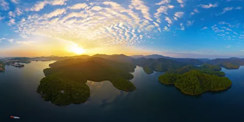 九龍湖生態公園