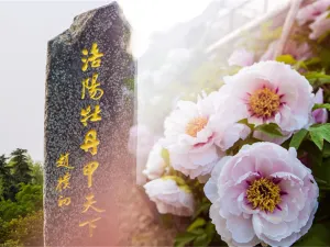 Sui and Tang Dynasty Town Botanic Gardens