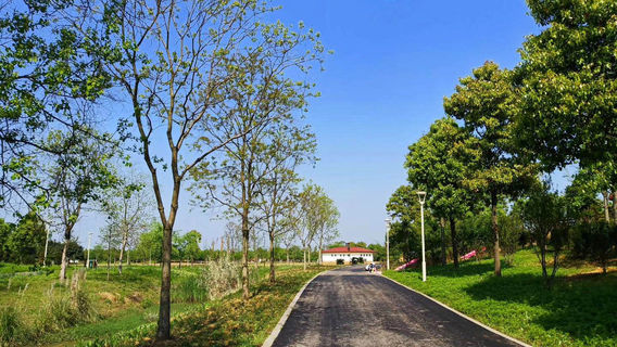 Yunmeng Ark International Resort