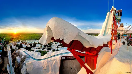 Disney's Blizzard Beach Water Park