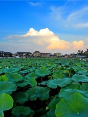 浦市古鎮