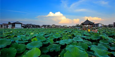浦市古鎮