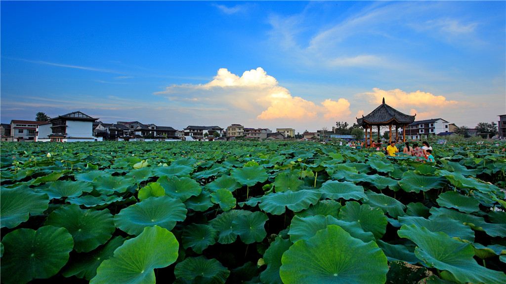 Pushi Town