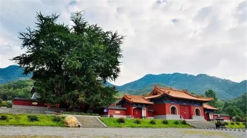 Dahong Village Scenic Resort