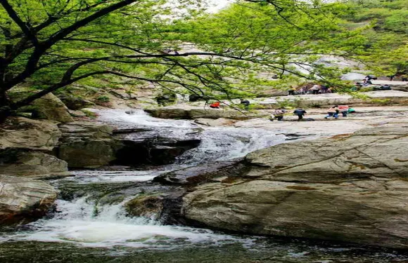 白雲山門票成人