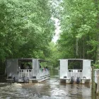 90-Minute Jean Lafitte Swamp and Bayou Tour