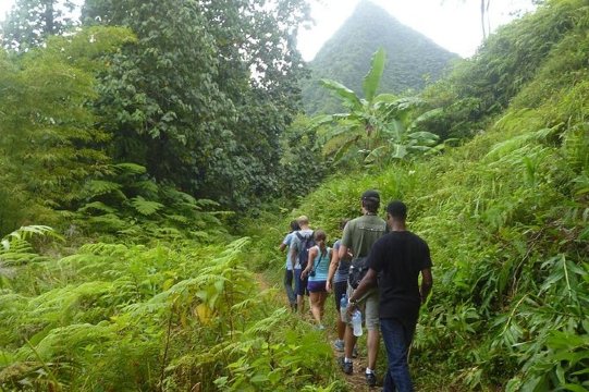 rainforest hike