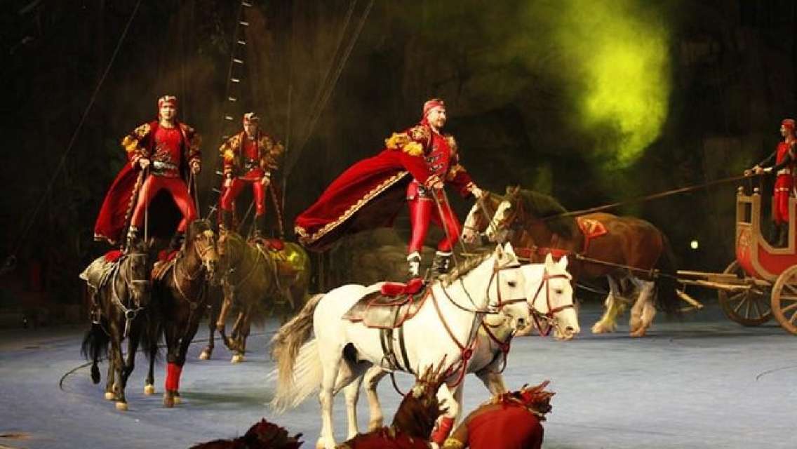 Ticket to Chimelong International Circus with Hotel Transfer Service