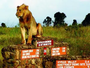 Nairobi National Park,Karen Blixen & Bomas Of Kenya Full Day Tour
