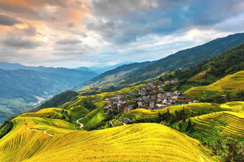 Longji Rice Terraces