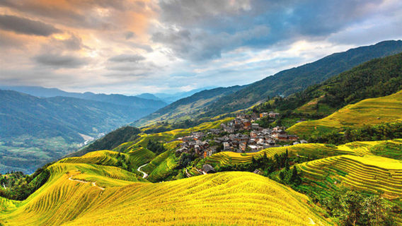 Longji Rice Terraces