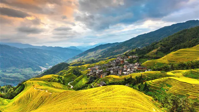 Terraced Fields Viewing in Longsheng