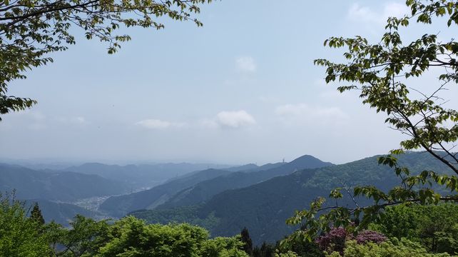東京秘境探索親近大自然御岳山登山步行一日遊 中英文導遊 感受自然 Trip Com