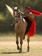 Urumqi Horse Riding