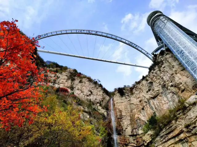 Fall Foliage Sightseeing in Zibo