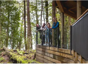 Te Anau Glowworm Caves - RealNZ