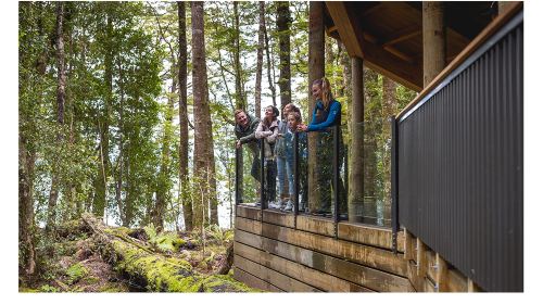 Te Anau Glowworm Caves - RealNZ