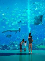 The Lost Chambers Aquarium (Sanya)