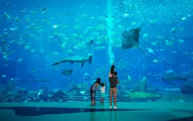 亞特蘭蒂斯失落的空間水族館