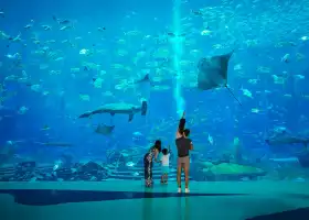 アトランティス・ザ・パーム/ロスト・チェンバー水族館