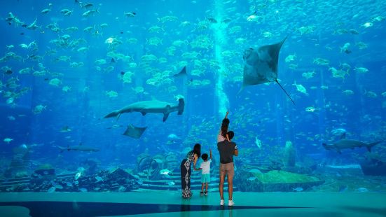 The Lost Chambers Aquarium (Sanya)