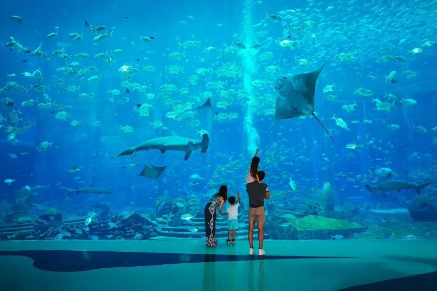 The Lost Chambers Aquarium (Sanya)