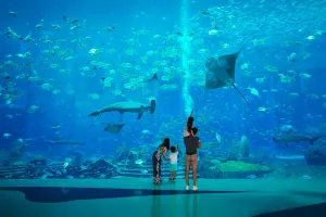 The Lost Chambers Aquarium (Sanya)