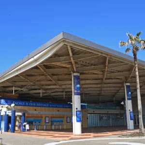 新江之島水族館