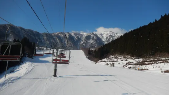 氷ノ山国際スキー場