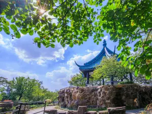 Plum Garden